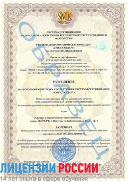 Образец разрешение Питкяранта Сертификат ISO 50001